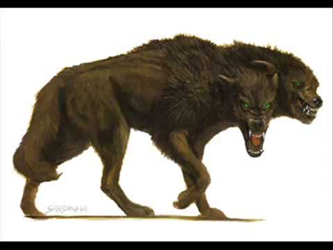 Dire Wolf of Weirth